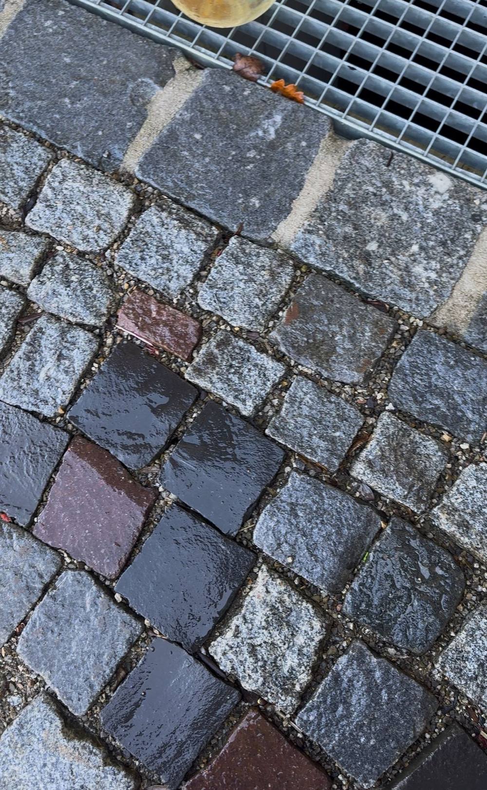 Pflastersteine, nachher: gereinigt und dunkel