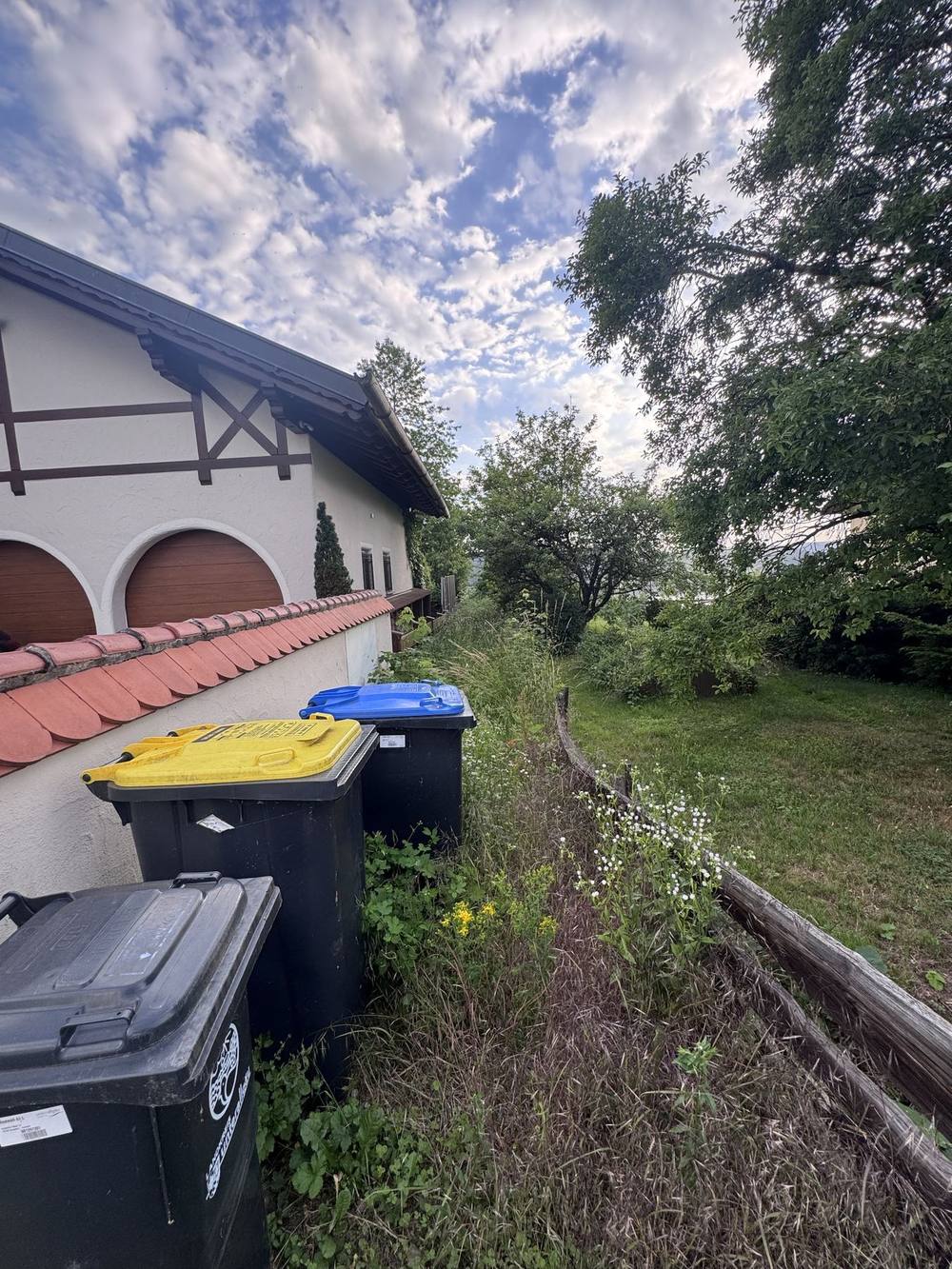 Weg entlang des Hauses, vorher: hoher Wildwuchs